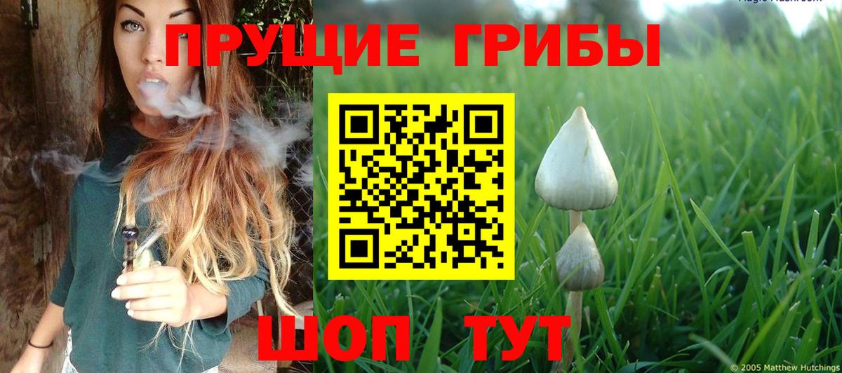 Псилоцибиновые грибы мухоморы  Вход с VPN  Коломна 